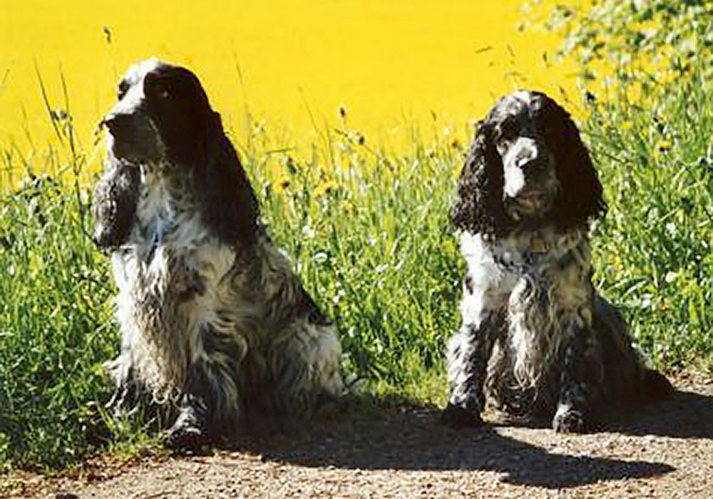 Flynn und Flash May 2003