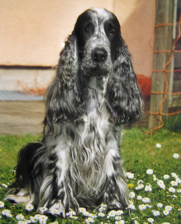 Mein allerliebster Flynn